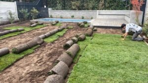 WhatsApp Image 2026-02-18 at 10.49.59 (2)