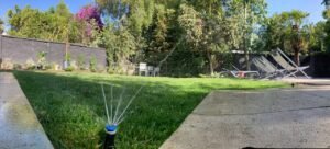 WhatsApp Image 2026-02-18 at 10.50.00 (2)