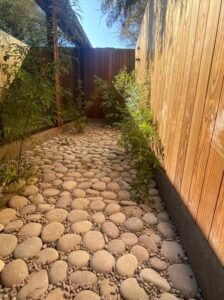 WhatsApp Image 2026-02-18 at 10.50.02 (4)