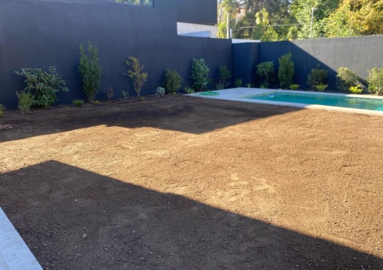 WhatsApp Image 2026-02-18 at 10.54.35