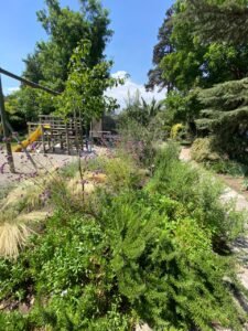 WhatsApp Image 2026-02-18 at 10.56.31