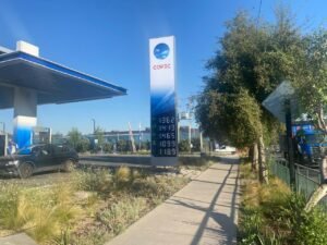 WhatsApp Image 2026-02-18 at 11.00.34 (1)