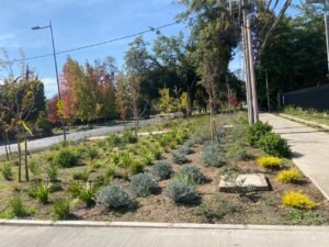 WhatsApp Image 2026-02-18 at 11.16.36