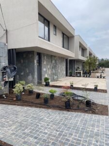 WhatsApp Image 2026-02-18 at 11.17.03